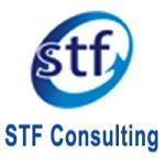 logo STF Consulting
