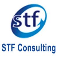 Logo STF Consulting